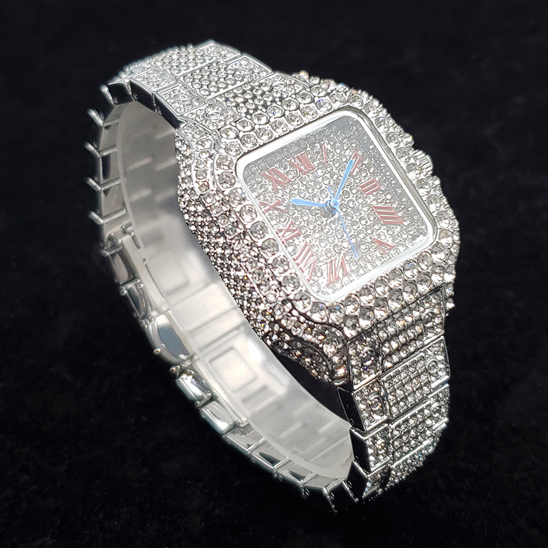Luxury Diamond Watches for Wom - огляд і ціна Jewelry Watches Silver
